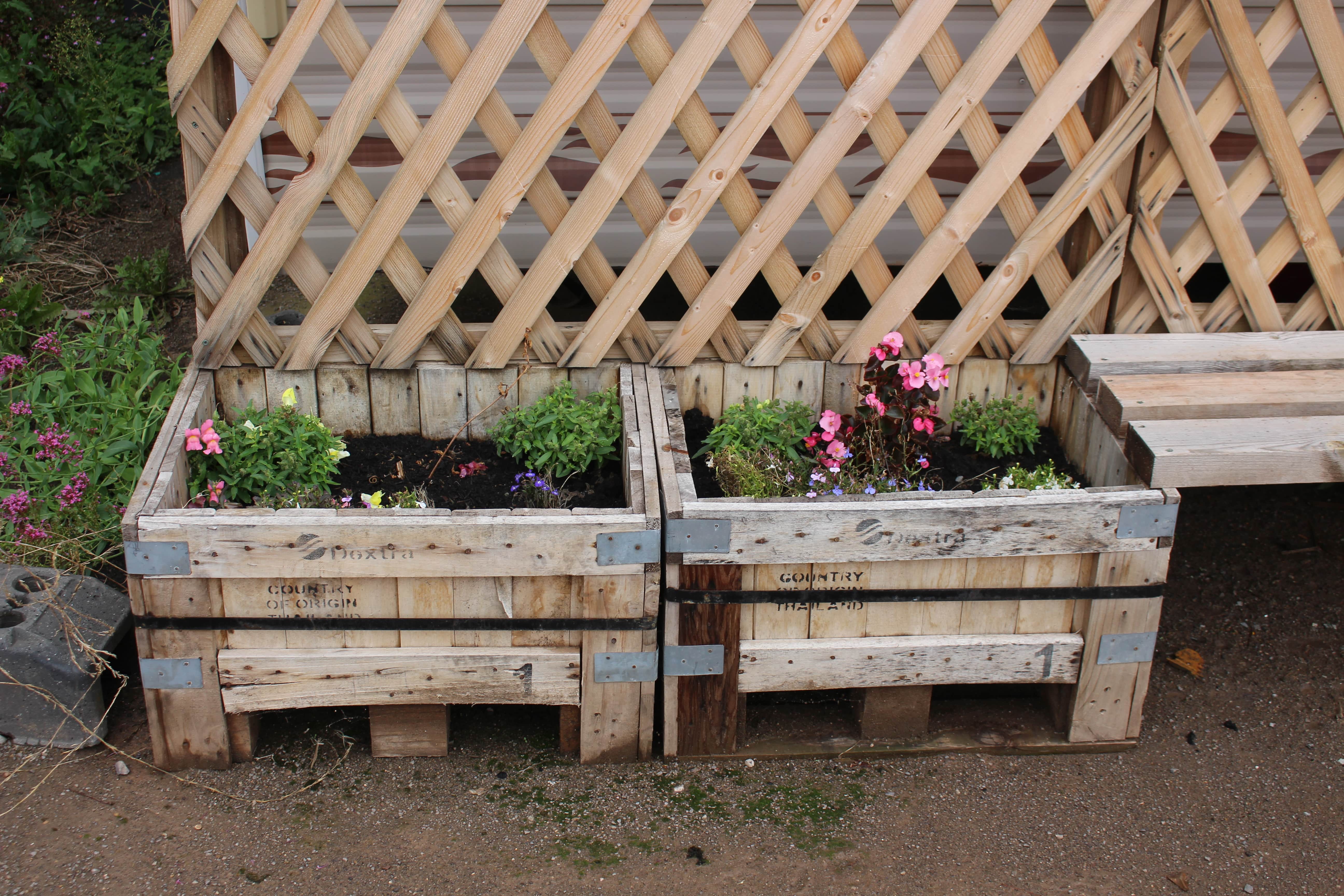 2 small instant planters with pink flowers in them